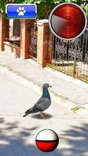 Pocket Birds GO स्क्रीनशॉट 3