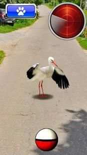 Pocket Birds GO स्क्रीनशॉट 1