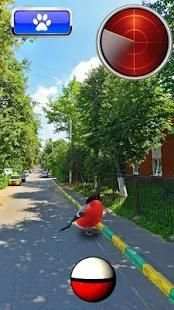 Pocket Birds GO स्क्रीनशॉट 2