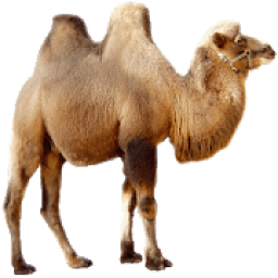 ikon Sahara Messenger Free Call