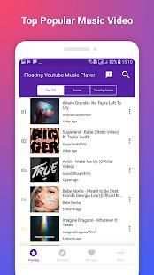 Floating Music Player screenshot 4