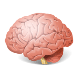 Brain Wars Left vs Right आइकन