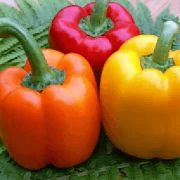 Блюда со сладким перцем Рецепты с фото icon