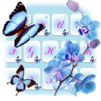 Bunga Kupu-kupu Cinta