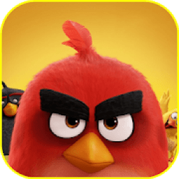 ikon Angry Bird Wallpaper