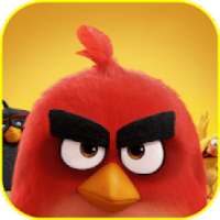 Angry Bird Wallpaper