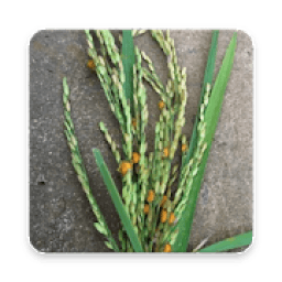 Plant protection आइकन