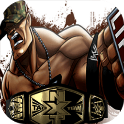 ikon WWE 2K 18 : FIGHTING STREETS