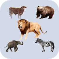 Suara Hewan Super Ringtone