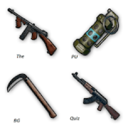 ikon The PUBG Quiz