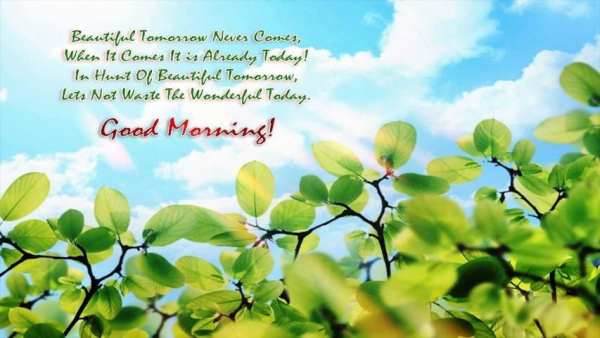 Good Morning Image screenshot 2