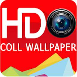 Cool HD Wallpapers 1.0