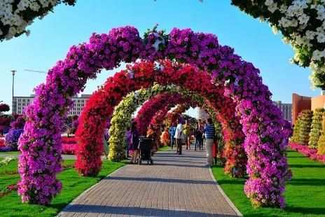 خلفيات حدائق متحركة ❤️ خلفيات زهور متحركة
‎ स्क्रीनशॉट 2