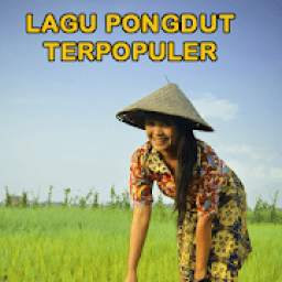 Pongdut 2.0