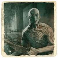 Scary House: Butcher Edition