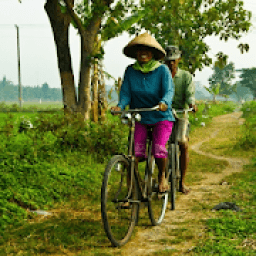 ikon DP Gambar Pemandangan Sawah