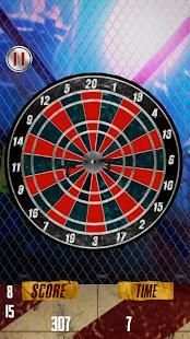 Darts Challenge msports Edition screenshot 2