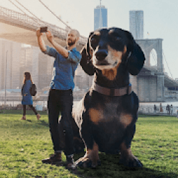 ikon Big Camera - Big Photo