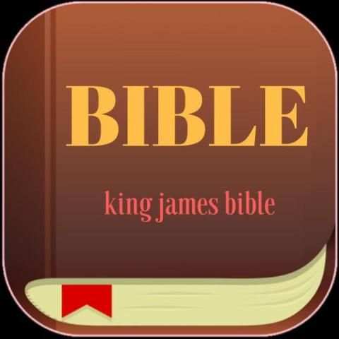 Holy Bible King James Version screenshot 6