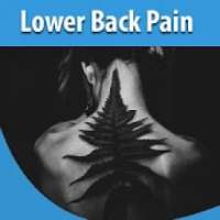 Exercises For Lower Back Pain on 9Apps