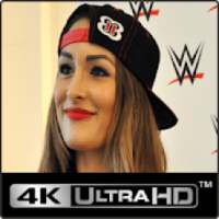 Nikki wwe Bella HD Wallpaper