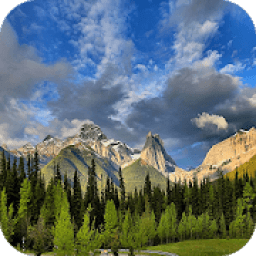 ikon 4K Wallpaper For Iphone X