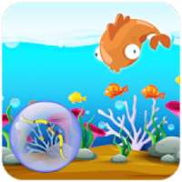 Archery Fish Hunting-Fish Game