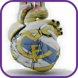 ikon Real Madrid Wallpaper