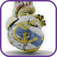 Real Madrid Wallpaper