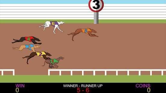Dog Racing screenshot 9