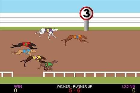 Dog Racing screenshot 14
