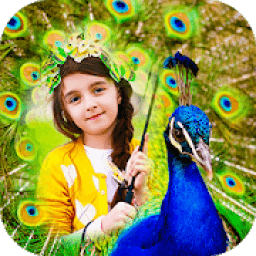 Peacock Photo Frames : Peacock Photo Editor HD أيقونة