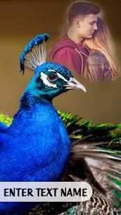 Peacock Photo Frames : Peacock Photo Editor HD screenshot 3