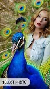 Peacock Photo Frames : Peacock Photo Editor HD screenshot 7