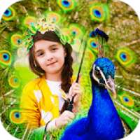 Peacock Photo Frames : Peacock Photo Editor HD on 9Apps