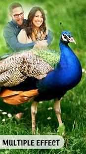 Peacock Photo Frames : Peacock Photo Editor HD screenshot 5