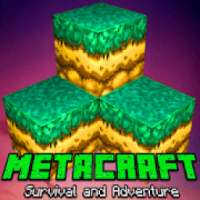 MetaCraft : Exploration Adventure