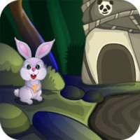 Escape Games Day-805