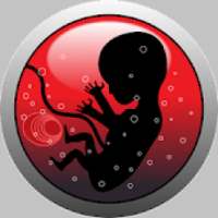 Pregnancy Urdu Guide on 9Apps