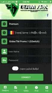 TeamVPN screenshot 2