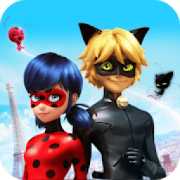 Ladybug and cat noir wallpaper icon