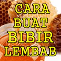 Cara Mengatasi Bibir Kering Agar Lembab Alami on 9Apps