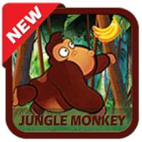 Jungle Monkey Fun