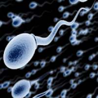 Increase Sperm Volume