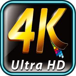Professional Camera HD 4K 11.6