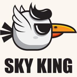 Sky King icon