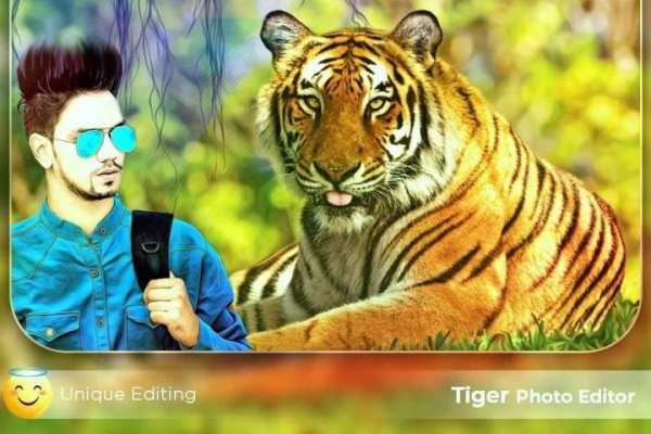 Tiger Photo Frames / Tiger Photo Editor скриншот 3
