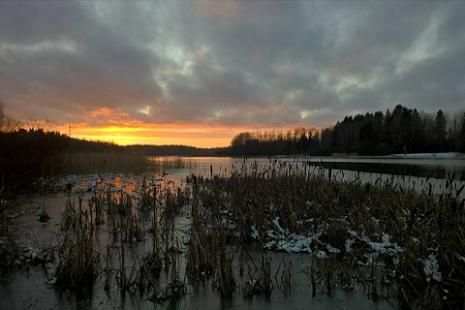 Camera For Nokia screenshot 4