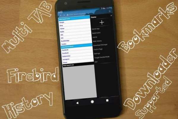 FireBird Web Browser - (MultiTask , Downloader) screenshot 4