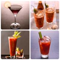 50+ Cocktail Recipes In English
